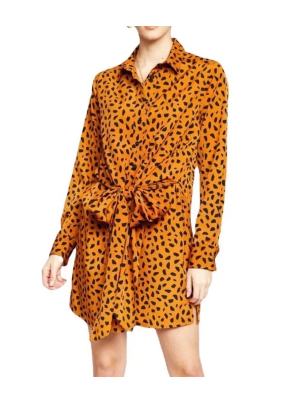 Tie Front Button Down Shirtdress Animal Print Long Sleeve Mini - The Good Jane